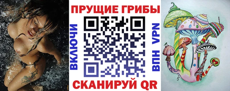Псилоцибиновые грибы ЛСД  Купить закладки  Вилюйск 